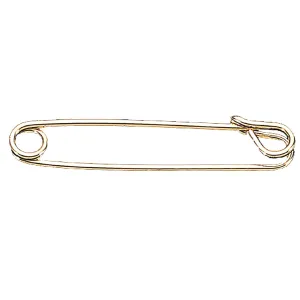 Plain Stock Tie Pin 2-1/2" Gold Plated